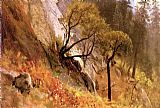 Yosemite Canvas Paintings - Landscape Study, Yosemite, California